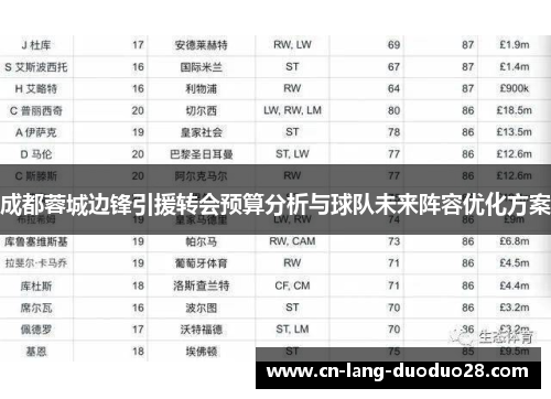 成都蓉城边锋引援转会预算分析与球队未来阵容优化方案