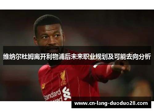 维纳尔杜姆离开利物浦后未来职业规划及可能去向分析