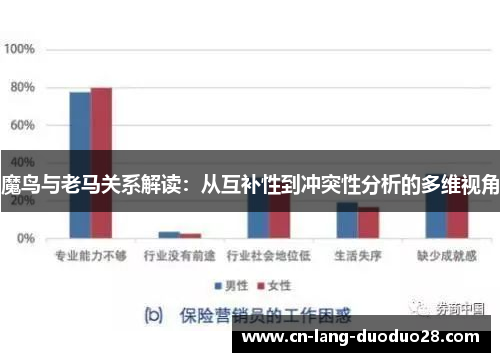 魔鸟与老马关系解读：从互补性到冲突性分析的多维视角